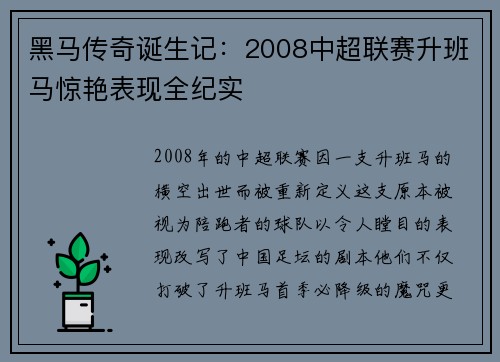 黑马传奇诞生记：2008中超联赛升班马惊艳表现全纪实
